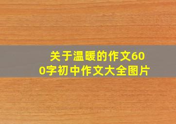 关于温暖的作文600字初中作文大全图片