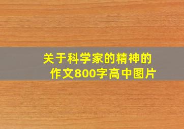 关于科学家的精神的作文800字高中图片