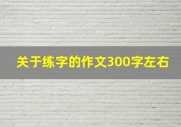 关于练字的作文300字左右