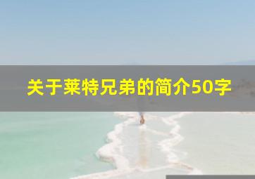 关于莱特兄弟的简介50字