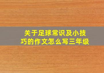 关于足球常识及小技巧的作文怎么写三年级