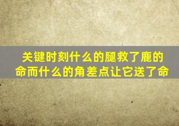 关键时刻什么的腿救了鹿的命而什么的角差点让它送了命