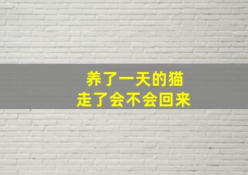 养了一天的猫走了会不会回来