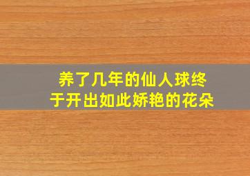 养了几年的仙人球终于开出如此娇艳的花朵