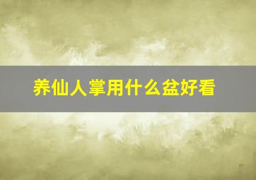 养仙人掌用什么盆好看