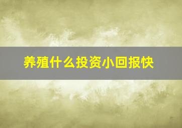 养殖什么投资小回报快