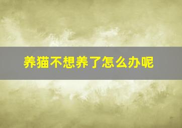 养猫不想养了怎么办呢