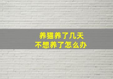 养猫养了几天不想养了怎么办