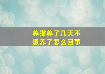 养猫养了几天不想养了怎么回事