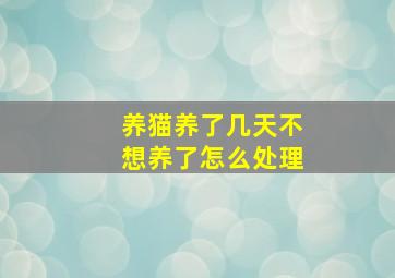 养猫养了几天不想养了怎么处理