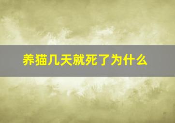 养猫几天就死了为什么