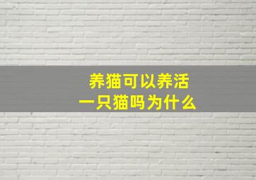 养猫可以养活一只猫吗为什么