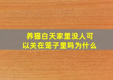 养猫白天家里没人可以关在笼子里吗为什么