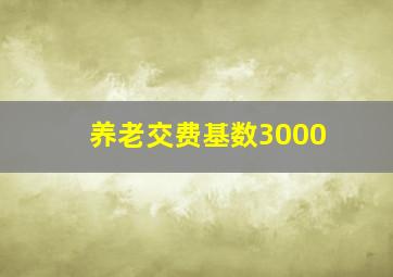 养老交费基数3000