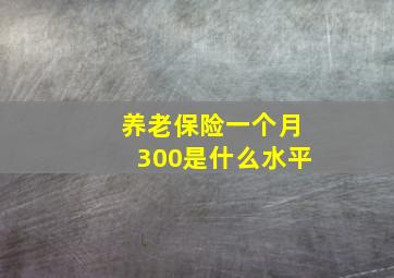 养老保险一个月300是什么水平