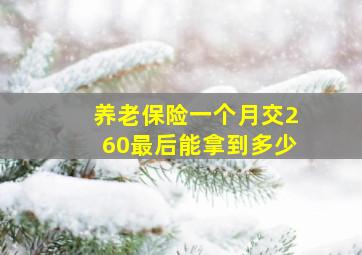 养老保险一个月交260最后能拿到多少