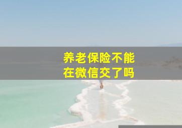 养老保险不能在微信交了吗