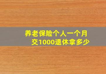 养老保险个人一个月交1000退休拿多少