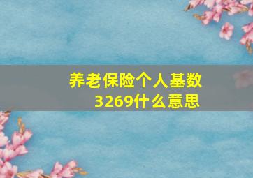 养老保险个人基数3269什么意思