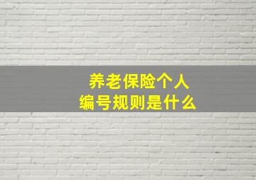 养老保险个人编号规则是什么