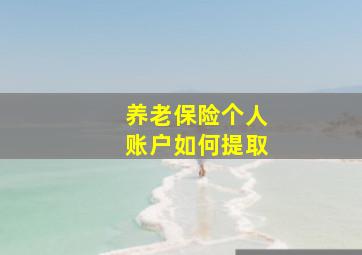 养老保险个人账户如何提取