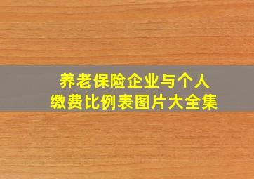 养老保险企业与个人缴费比例表图片大全集