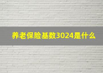 养老保险基数3024是什么