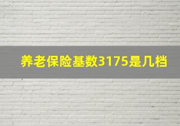 养老保险基数3175是几档