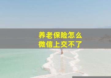 养老保险怎么微信上交不了