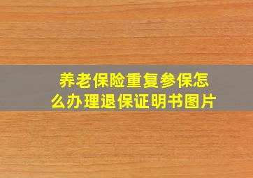 养老保险重复参保怎么办理退保证明书图片