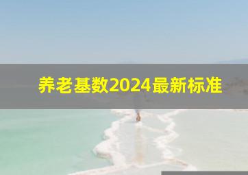 养老基数2024最新标准