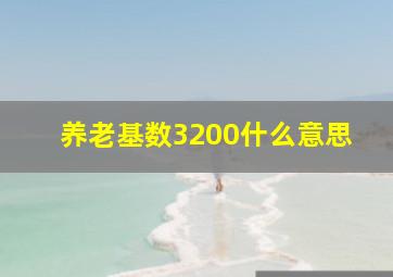 养老基数3200什么意思