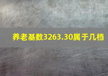 养老基数3263.30属于几档