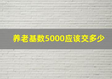 养老基数5000应该交多少