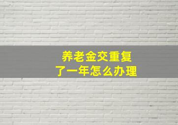 养老金交重复了一年怎么办理