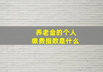 养老金的个人缴费指数是什么