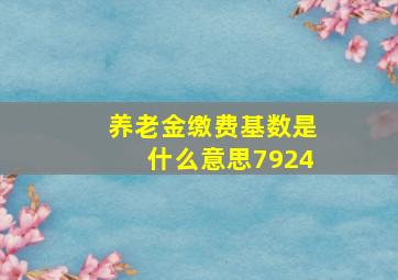 养老金缴费基数是什么意思7924