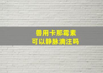 兽用卡那霉素可以静脉滴注吗