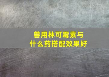 兽用林可霉素与什么药搭配效果好