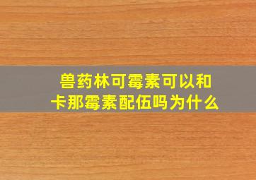 兽药林可霉素可以和卡那霉素配伍吗为什么