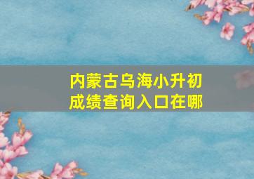 内蒙古乌海小升初成绩查询入口在哪