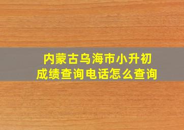 内蒙古乌海市小升初成绩查询电话怎么查询