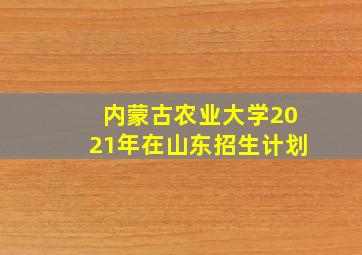 内蒙古农业大学2021年在山东招生计划