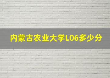 内蒙古农业大学L06多少分