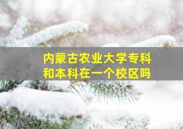 内蒙古农业大学专科和本科在一个校区吗