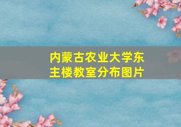 内蒙古农业大学东主楼教室分布图片