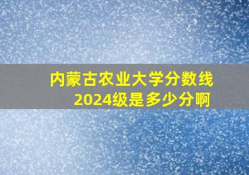 内蒙古农业大学分数线2024级是多少分啊