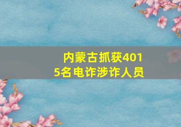 内蒙古抓获4015名电诈涉诈人员