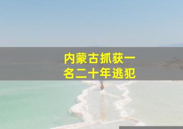 内蒙古抓获一名二十年逃犯