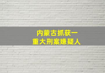 内蒙古抓获一重大刑案嫌疑人